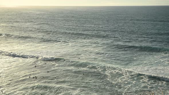 Surfers Swim in the Ocean on Surf Boards in Anticipation of a Large Powerful Wave in the Ocean
