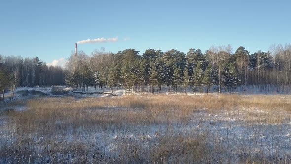 Aerial Motion Above Glade Covered with Snow To Old Pines alt