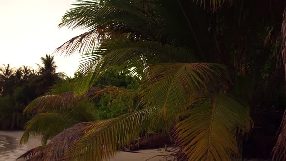 Dramatic tropical sunset with palm tree on the ocean beach. Maldives. alt