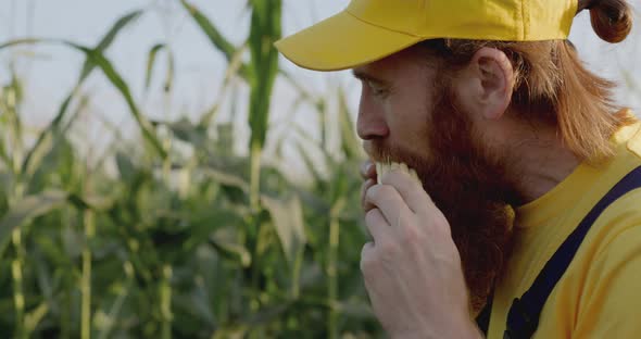 A Farmer in a Corn Field alt