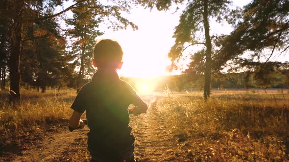 Happy Boy Enjoying Bike Riding alt