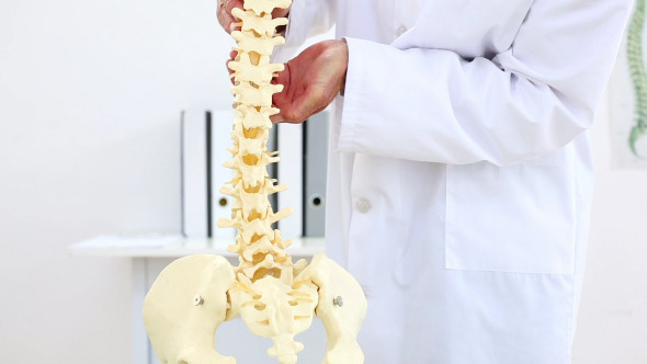 Doctor Explaining Model Of Spine To Camera