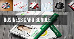 Business Card Bundle