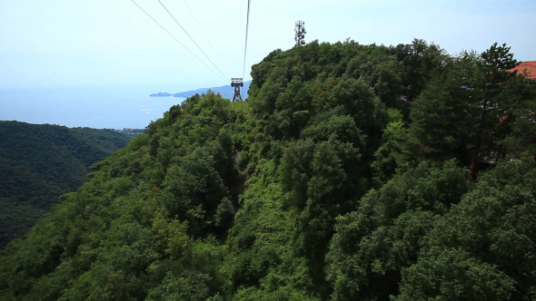 Cable Car View Over The Forest 2