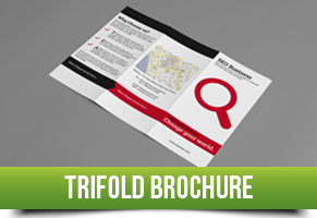 Trifold Brochure Item