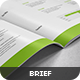 Brief Brief - GraphicRiver Item for Sale