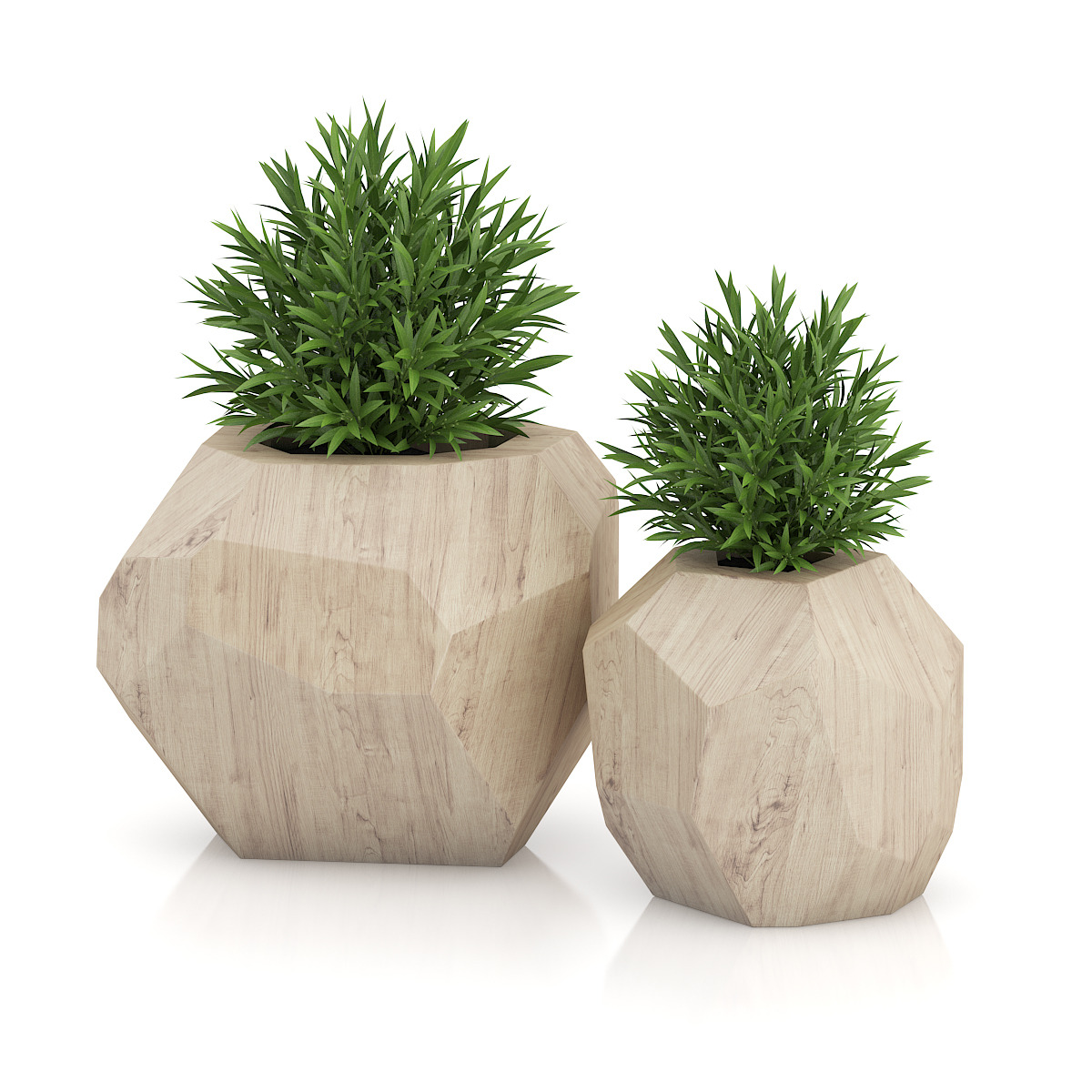Two Plants  in Modern  Wooden Pots by CGAxis 3DOcean