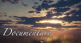 Documentary (NEW)