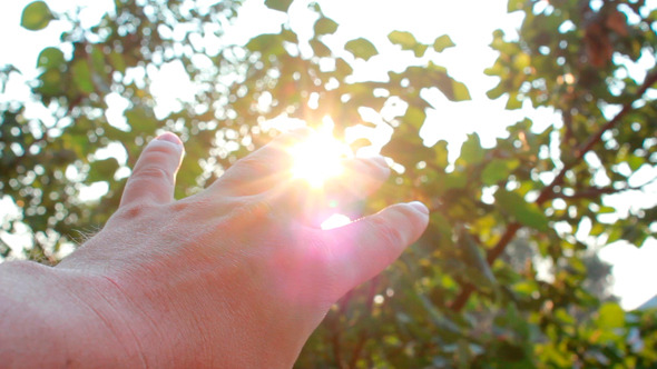 Man Hand Reach To The Sun