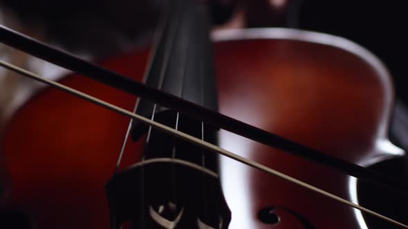 On the strings of cello the musician plays with a bow, a close-up in dark. Cellist plays cello. alt