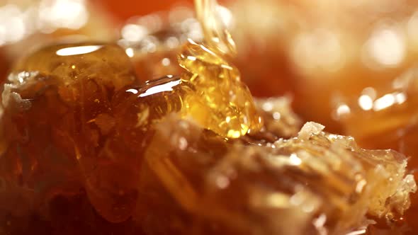 Golden Fresh Honey is Dripping to Honeycomb alt