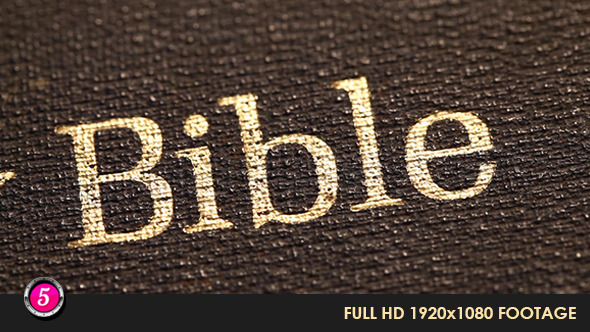 Old Holy Bible 41 alt