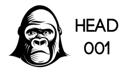 Head 001
