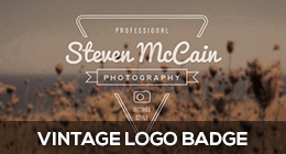 Retro Badges, Labels and Insignias