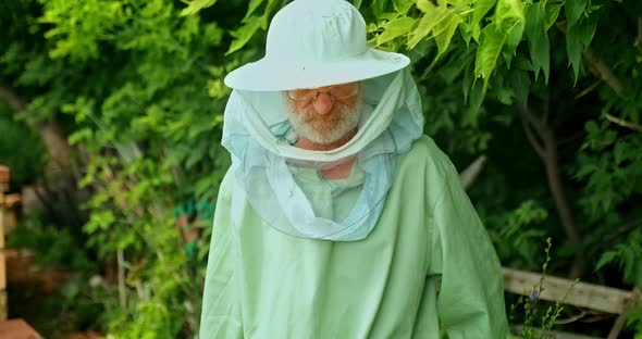 Harvest of Honey in the Apiary, Fresh Honey Is in Jars on the Hives. Natural Product, Eco-products alt