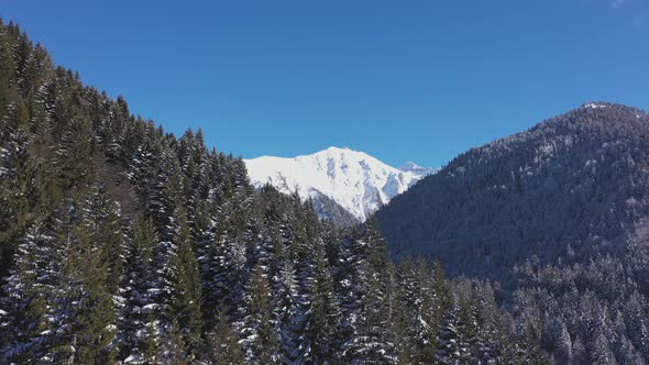 Flying Over the Mountains in the Winter