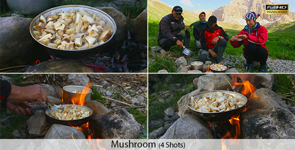 Climbers- Mushroom alt