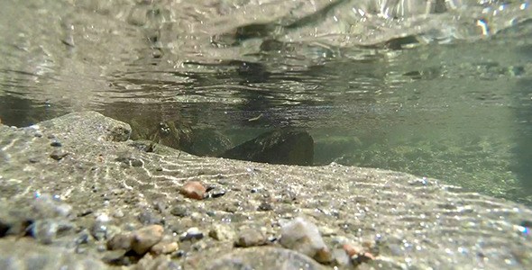 Underwater World 5 alt