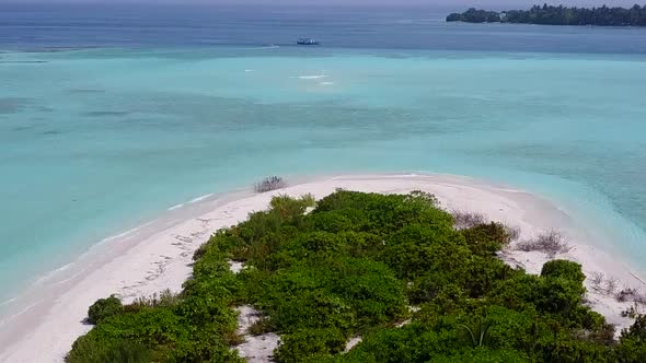 Aerial drone nature of coast beach by blue ocean with sand background alt