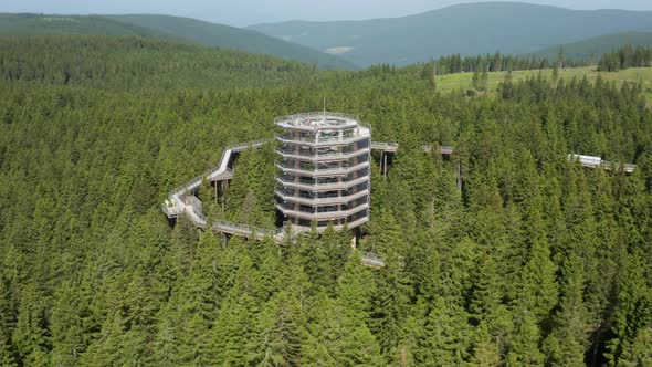 View Of The Pohorje Treetop Walk In The Densely Wooded Mountain In Rogla, Slovenia. aerial drone, or alt
