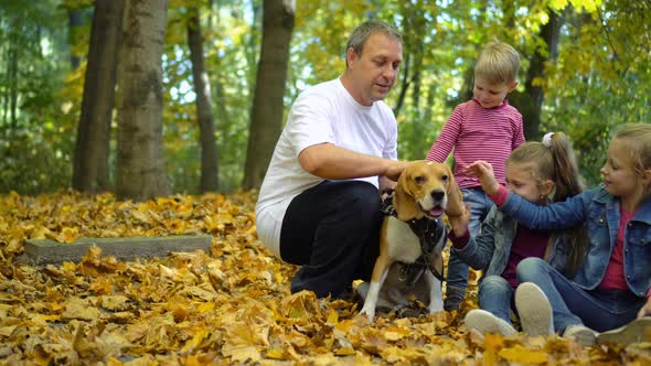 Happy family walks in the autumn Park with a Beagle dog. Children pet dog.