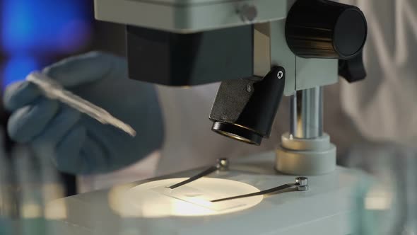 Research Analyst Adding Reagent to Drug to Keep Tracking Chemical ...