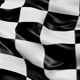 Checkered Racing Flag With Pole Transition Wipe - VideoHive Item for Sale