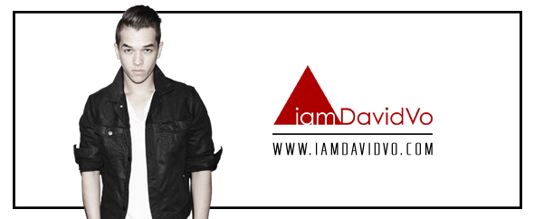 Iamdavidvothemeforestcover2