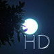 Full Moon &amp; Leaves - VideoHive Item for Sale