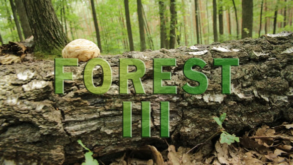 Forest Pack 3 alt