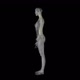 Female Backbone X-Ray Rontgen - VideoHive Item for Sale
