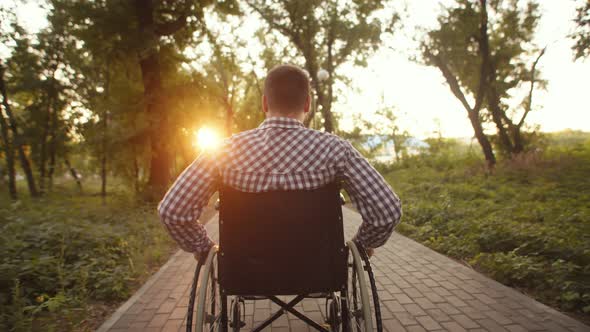 Disabled Man Rides in Wheelchair Through Park Against Background of Sunset Back View alt