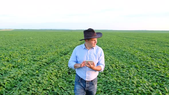 Agribusiness  Check the Growth of Soybeans Using a Tablet Green Soybean Field alt