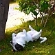 Cute Dog Playing in Grass Cute Dog Playing in Grass - VideoHive Item for Sale