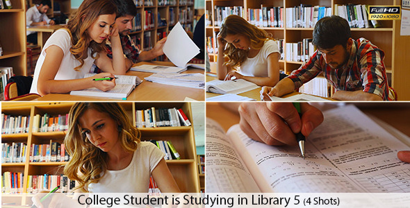 College Students are Studying in Library alt