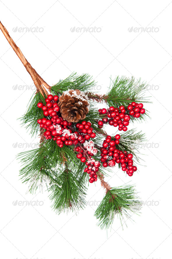 Decorated Christmas tree branch - Stock Photo - Images
