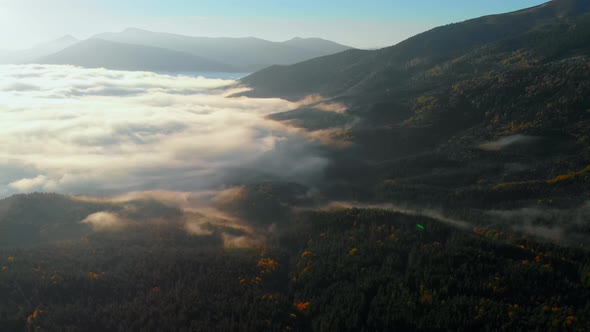 Aerial view: Amazing Thick Morning Fog Covering Mountains Spice and Spruce Forest. alt