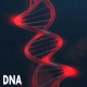Human DNA Helix - VideoHive Item for Sale
