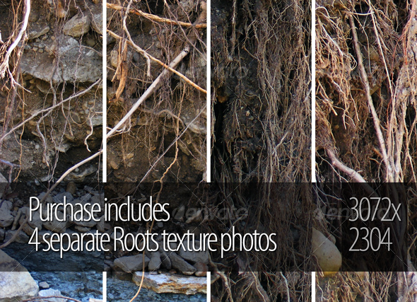 Roots - Nature Textures