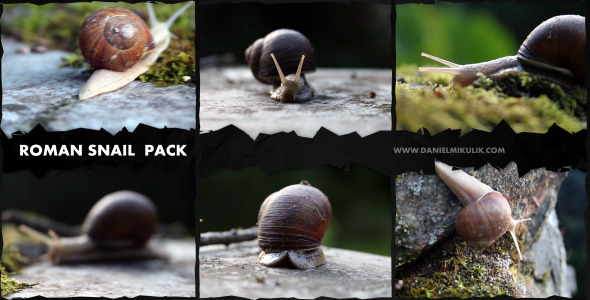 Roman Snail Footage Pack alt