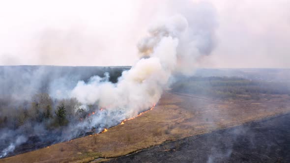 Flying above smoke from a fire in the forest Siberian forest burning, wild fire on field alt
