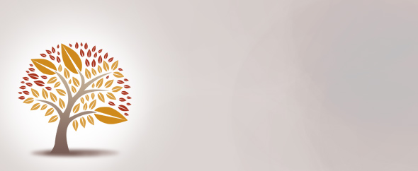 Themeforest cover