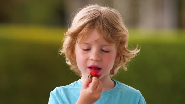 Blond Boy Eats Delicious Fresh Strawberry