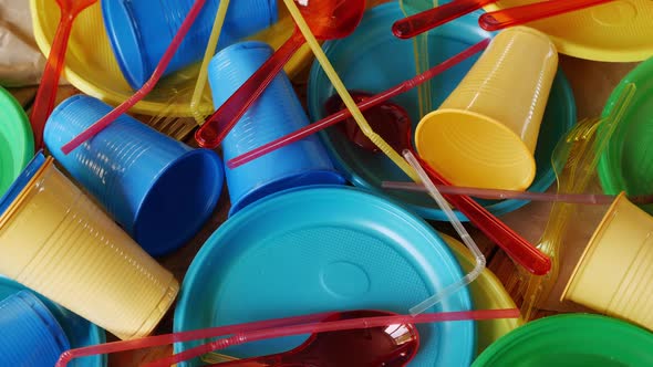 Disposable Tableware alt