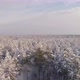 Aerial view of logging a tree in the winter forest 15 - VideoHive Item for Sale
