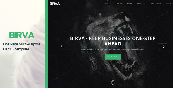 BIRVA - Responsive - ThemeForest 7989885