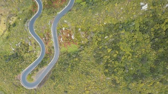 Aerial Top View of Empty Serpentine Road in Tenerife, Spain. Canary Mountains Covered with Green alt