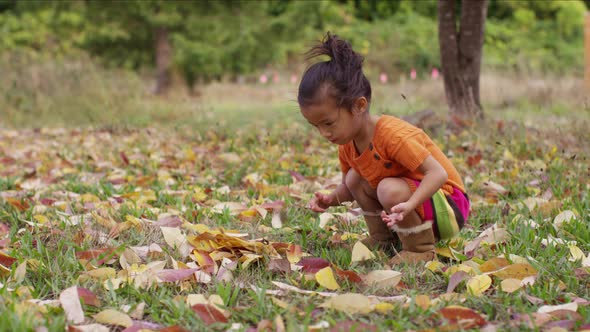 Young girl in Fall picking up leaves