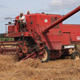 Combine Harvester on a Wheat Field (3 pack) - VideoHive Item for Sale