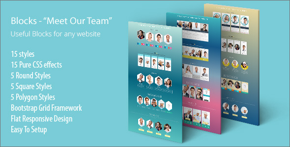Meet Our Team - CodeCanyon 8638927